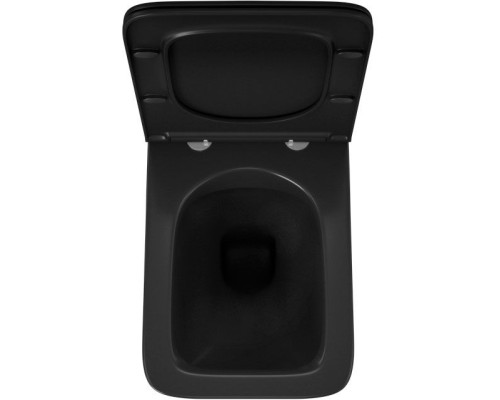 Унитаз Owl 1975 Vatter Ruta-H OWLT190404 подвесной с сиденьем Микролифт