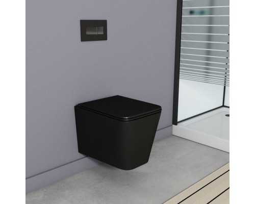 Унитаз Owl 1975 Vatter Ruta-H OWLT190404 подвесной с сиденьем Микролифт