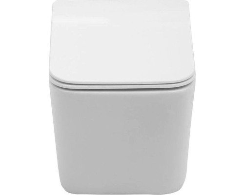 Унитаз Aquanet Tavr BL-103N-WHT TAVR-W 211920 подвесной с сиденьем Микролифт