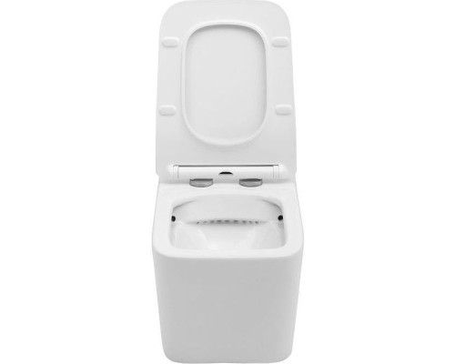Унитаз Aquanet Tavr BL-103N-WHT TAVR-W 211920 подвесной с сиденьем Микролифт