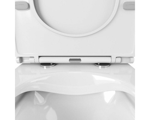 Унитаз Owl 1975 Vatter OWLT190403S подвесной с сиденьем Микролифт