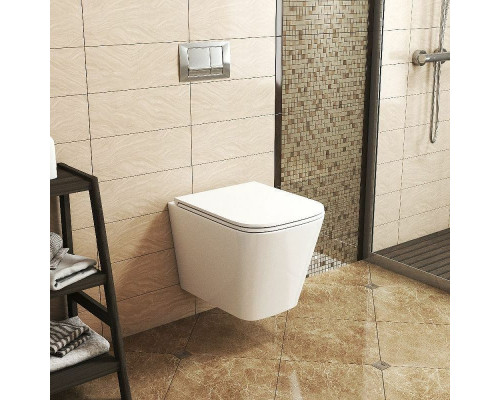 Унитаз Owl 1975 Vatter OWLT190403S подвесной с сиденьем Микролифт