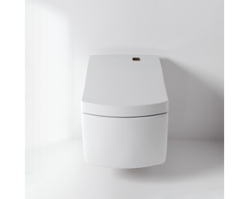 Унитаз Toto Neorest CW996PVD#NW1 подвесной без сиденья