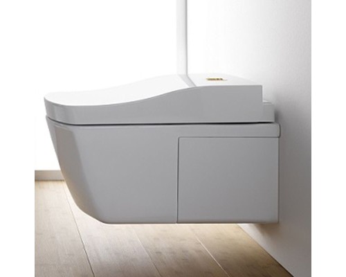 Унитаз Toto Neorest CW996PVD#NW1 подвесной без сиденья