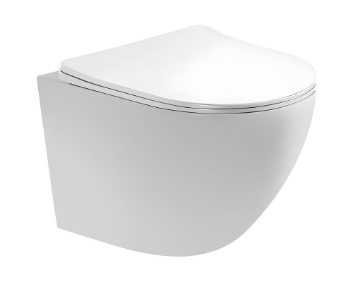 Унитаз Aquatek Европа AQ1900-00 подвесной с сиденьем Микролифт