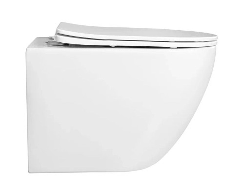 Унитаз Aquatek Европа AQ1900-00 подвесной с сиденьем Микролифт