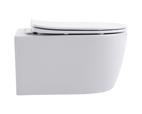 Унитаз Aquanet Smart W Rimless 276395 подвесной с сиденьем Микролифт