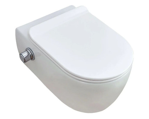 Унитаз SSWW CT2039V-B подвесной с сиденьем Микролифт