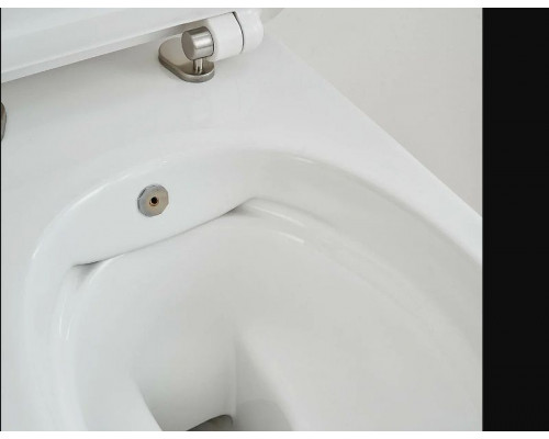 Унитаз SSWW CT2039V-B подвесной с сиденьем Микролифт