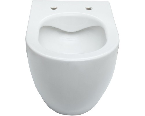 Унитаз Allen Brau Reality 4.32006.20 подвесной Белый без сиденья
