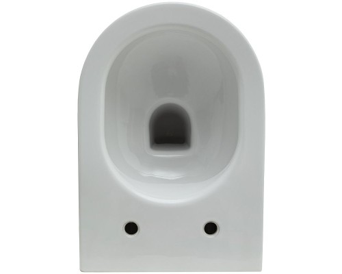 Унитаз Allen Brau Reality 4.32006.20 подвесной Белый без сиденья