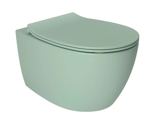 Унитаз Allen Brau Fantasy 4.11004.MT подвесной Мятный без сиденья