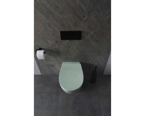 Унитаз Allen Brau Fantasy 4.11004.MT подвесной Мятный без сиденья