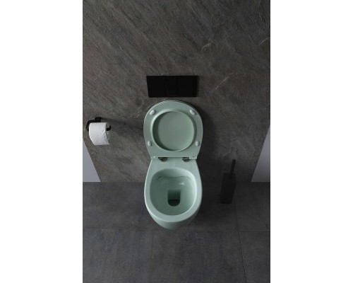 Унитаз Allen Brau Fantasy 4.11004.MT подвесной Мятный без сиденья