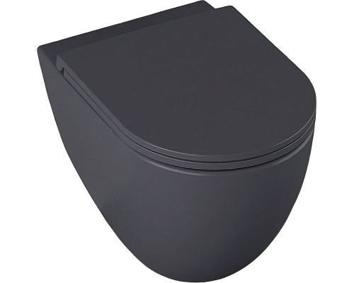 Унитаз Allen Brau Reality 4.32006.AN подвесной Антрацит без сиденья