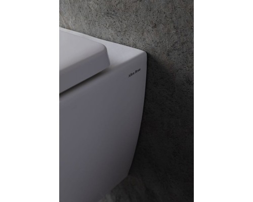 Унитаз Allen Brau Liberty 4.33004.20 подвесной Белый без сиденья