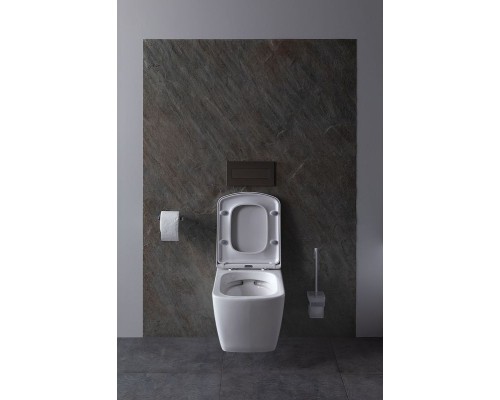 Унитаз Allen Brau Liberty 4.33004.20 подвесной Белый без сиденья