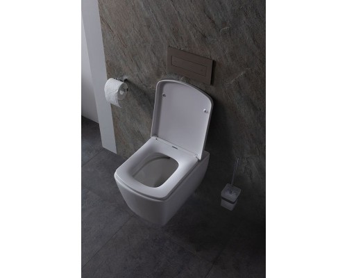 Унитаз Allen Brau Liberty 4.33004.20 подвесной Белый без сиденья