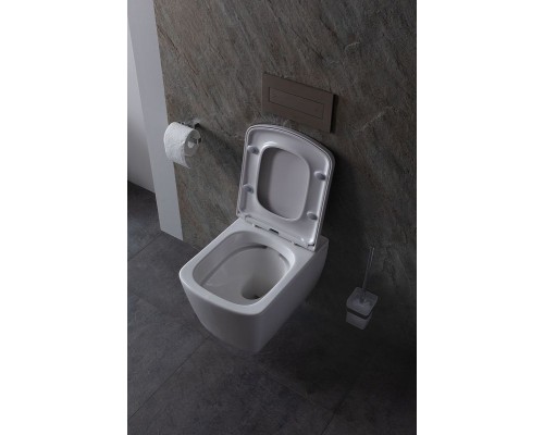 Унитаз Allen Brau Liberty 4.33004.20 подвесной Белый без сиденья