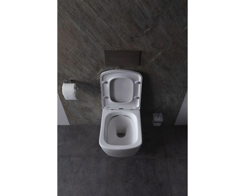 Унитаз Allen Brau Liberty 4.33004.20 подвесной Белый без сиденья