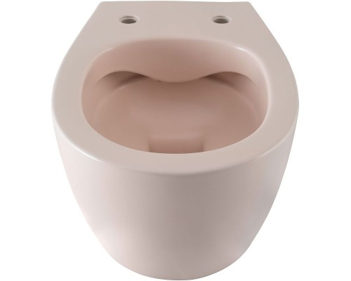 Унитаз Allen Brau Fantasy 4.11004.SM подвесной Розовый без сиденья