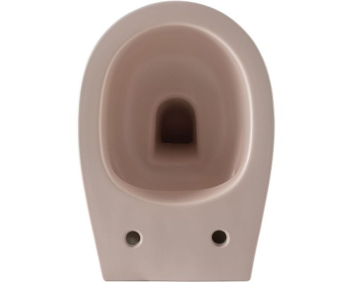 Унитаз Allen Brau Fantasy 4.11004.SM подвесной Розовый без сиденья