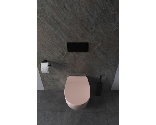 Унитаз Allen Brau Fantasy 4.11004.SM подвесной Розовый без сиденья