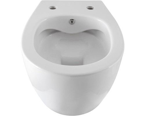 Унитаз биде Allen Brau Fantasy 4.11HC1.20 подвесной Белый без сиденья