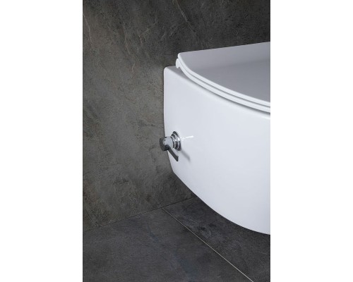 Унитаз биде Allen Brau Fantasy 4.11HC1.20 подвесной Белый без сиденья