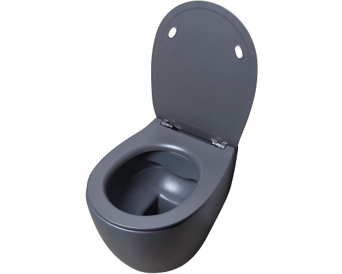 Унитаз Allen Brau Fantasy 4.11004.AN подвесной Антрацит без сиденья