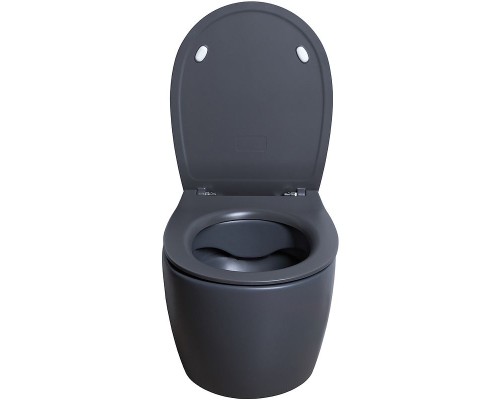 Унитаз Allen Brau Fantasy 4.11004.AN подвесной Антрацит без сиденья