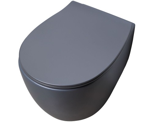 Унитаз Allen Brau Fantasy 4.11004.AN подвесной Антрацит без сиденья