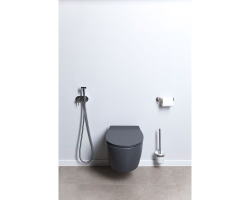 Унитаз Allen Brau Fantasy 4.11004.AN подвесной Антрацит без сиденья