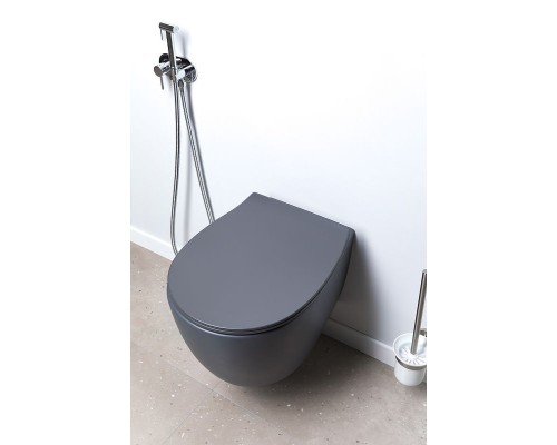 Унитаз Allen Brau Fantasy 4.11004.AN подвесной Антрацит без сиденья