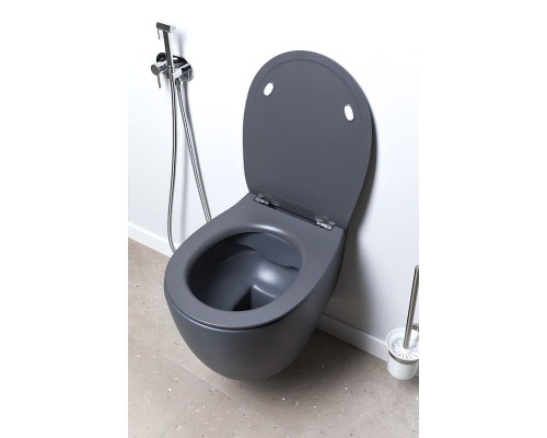 Унитаз Allen Brau Fantasy 4.11004.AN подвесной Антрацит без сиденья