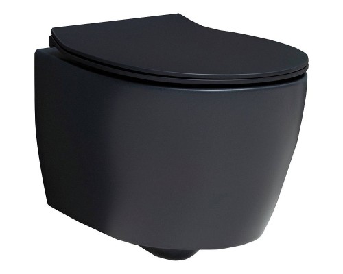 Унитаз Allen Brau Fantasy 4.11004.31 подвесной Черный матовый без сиденья