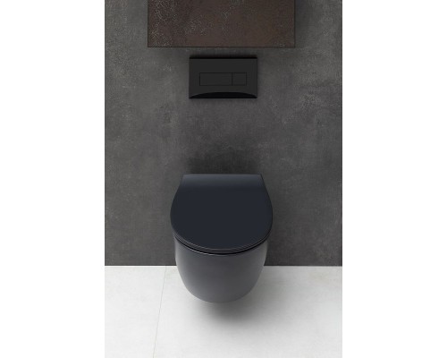 Унитаз Allen Brau Fantasy 4.11004.31 подвесной Черный матовый без сиденья