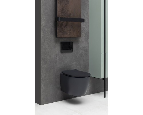 Унитаз Allen Brau Fantasy 4.11004.31 подвесной Черный матовый без сиденья