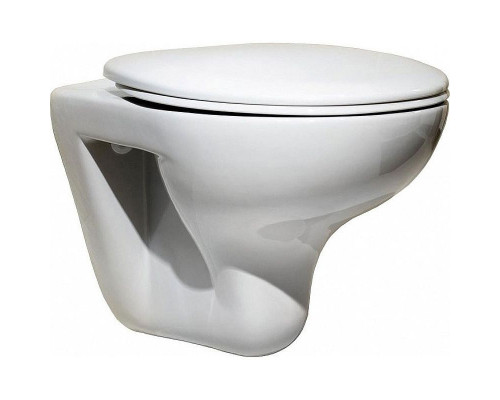 Унитаз Roca Mateo 346200000 подвесной без сиденья