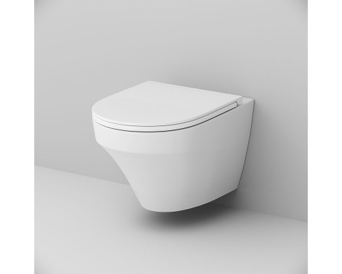 Унитаз AM.PM Inspire C501700WH подвесной без сиденья