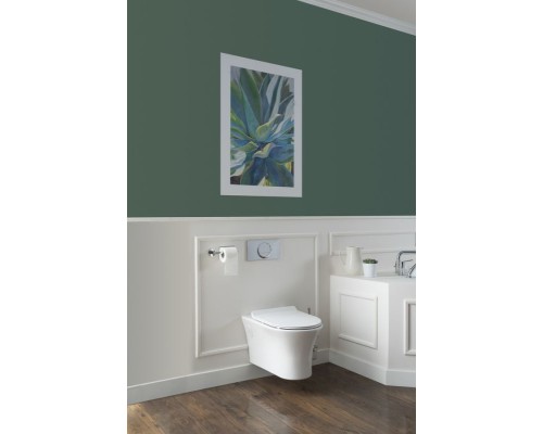 Унитаз Aquanet Roll-W 210766 подвесной с сиденьем Микролифт