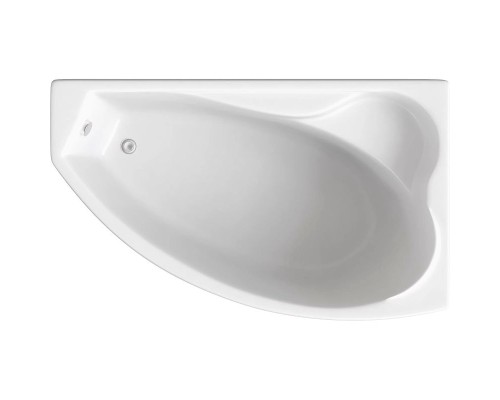 Акриловая ванна Bas Николь 170x104 R В 00028 без гидромассажа