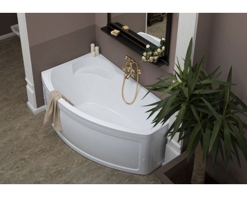 Акриловая ванна Aquanet Sofia 170x100 L 204039 + 242139 без гидромассажа