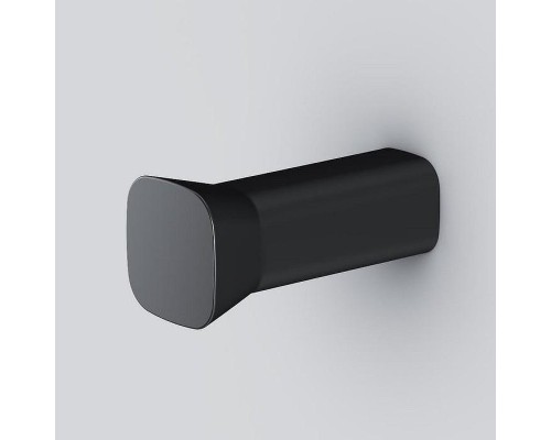 Крючок AM.PM Func A8F36122 Черный матовый