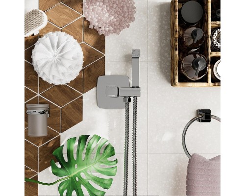 Стакан для зубных щеток WasserKRAFT Lippe K-6528 цвет Хром