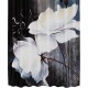 Шторка для ванны WasserKRAFT Ammer 180х200 SC-70102 Цветы