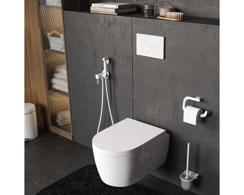 Смывной бачок WasserKRAFT Aller 10TLT.031.ME.WM02 для унитаза с Белой матовой клавишей смыва