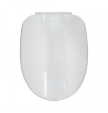 Сиденье для унитаза AM.PM Move C7M7851WH цвет Белый с Микролифтом