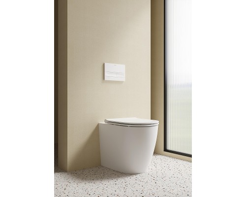 Клавиша смыва Arrow ABM003A цвет Белый