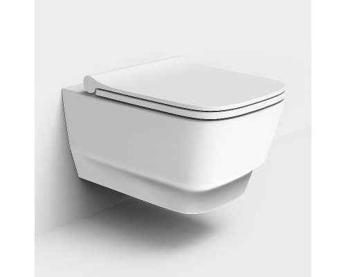 Сиденье для унитаза Dreja Enzo 88.0002 Белое с Микролифтом